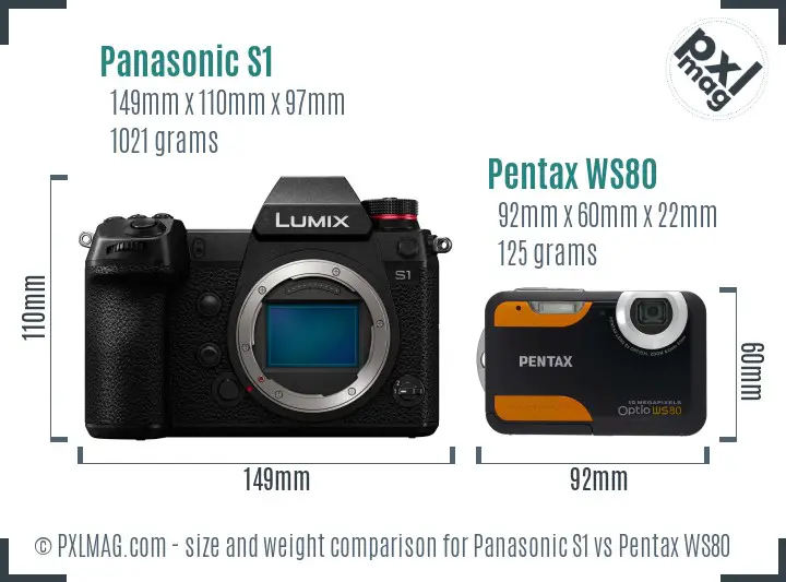 Panasonic S1 vs Pentax WS80 size comparison