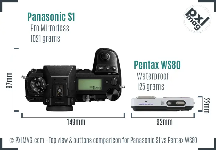 Panasonic S1 vs Pentax WS80 top view buttons comparison