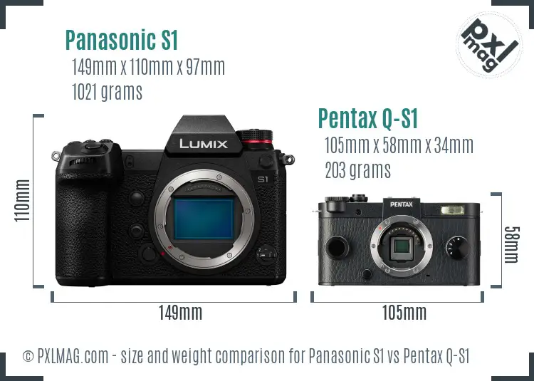 Panasonic S1 vs Pentax Q-S1 size comparison
