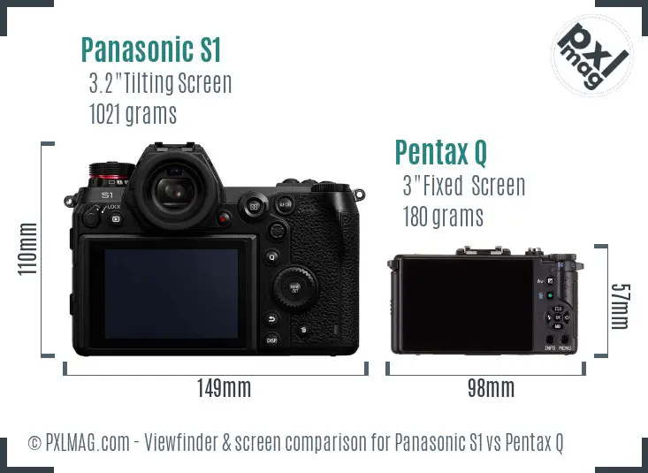 Panasonic S1 vs Pentax Q Screen and Viewfinder comparison