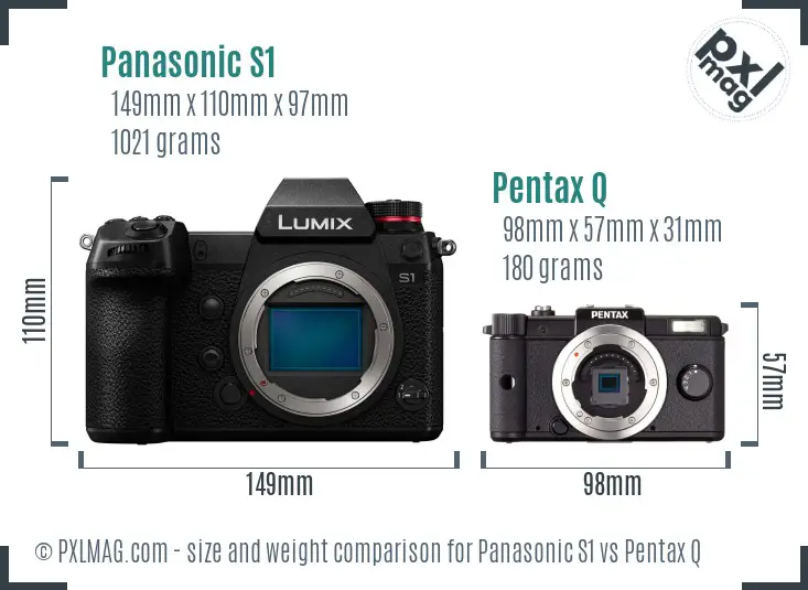 Panasonic S1 vs Pentax Q size comparison