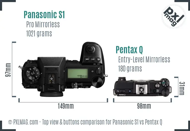 Panasonic S1 vs Pentax Q top view buttons comparison