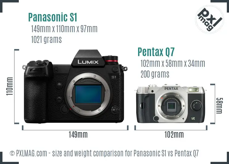 Panasonic S1 vs Pentax Q7 size comparison
