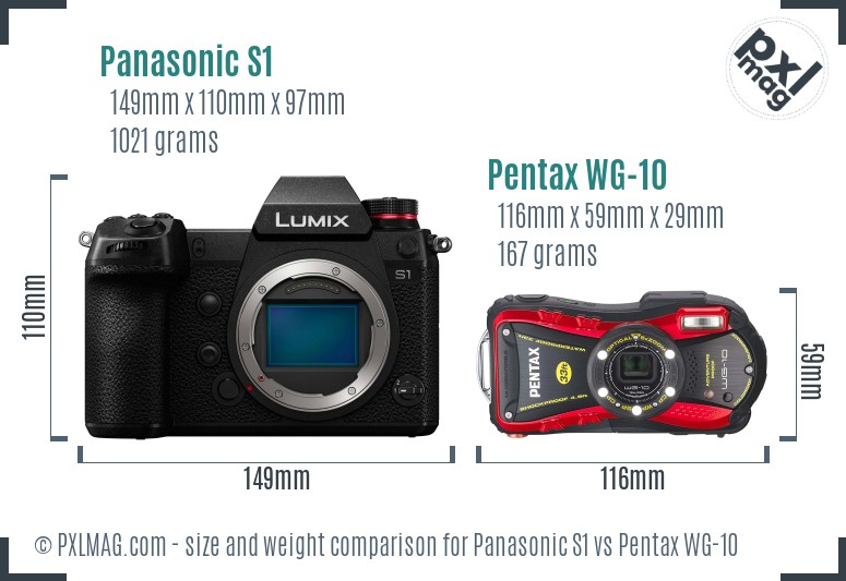 Panasonic S1 vs Pentax WG-10 size comparison