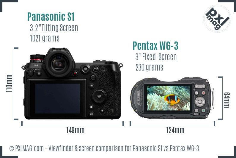 Panasonic S1 vs Pentax WG-3 Screen and Viewfinder comparison