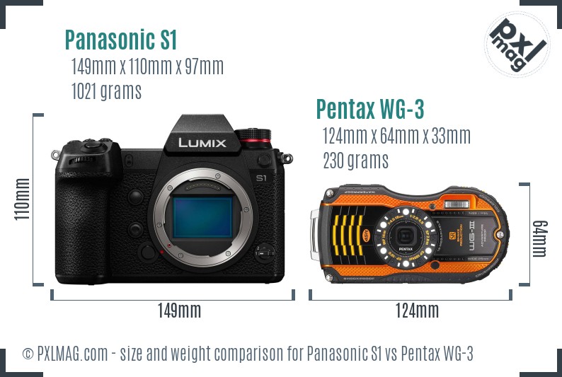Panasonic S1 vs Pentax WG-3 size comparison