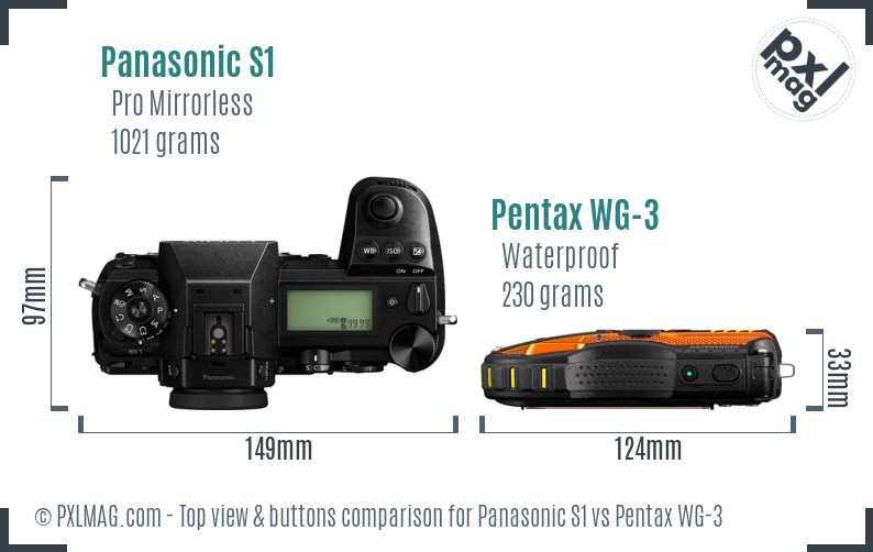 Panasonic S1 vs Pentax WG-3 top view buttons comparison