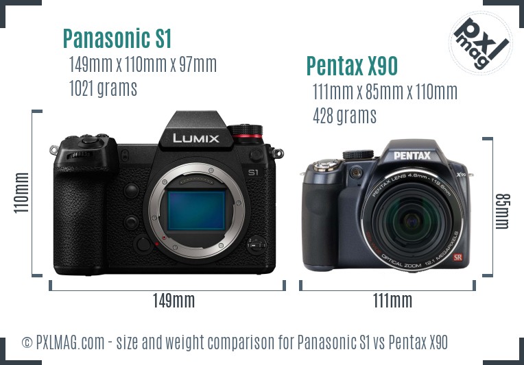 Panasonic S1 vs Pentax X90 size comparison