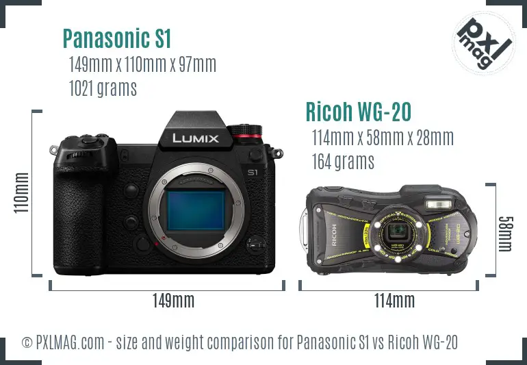 Panasonic S1 vs Ricoh WG-20 size comparison