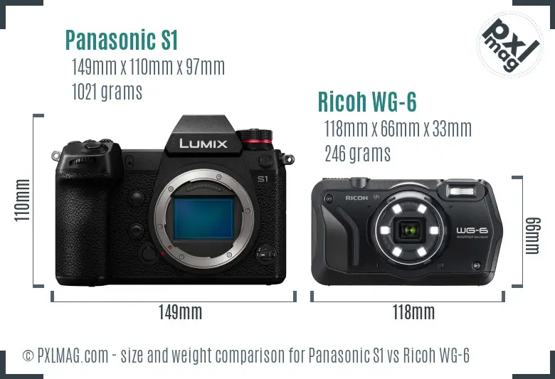 Panasonic S1 vs Ricoh WG-6 size comparison