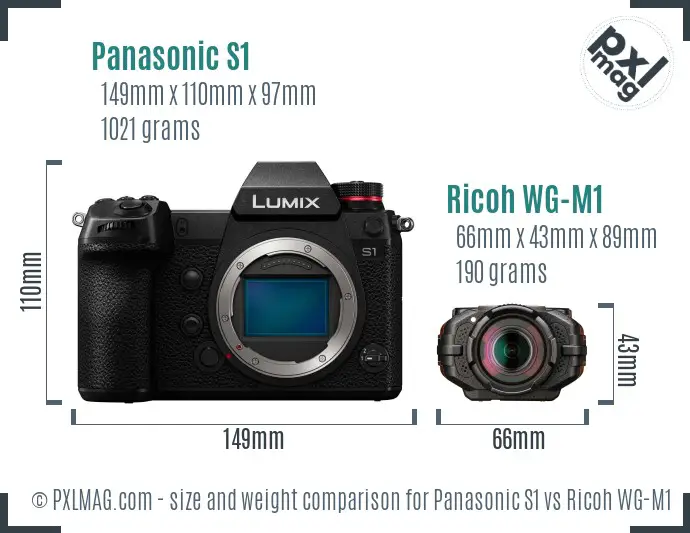 Panasonic S1 vs Ricoh WG-M1 size comparison Panasonic S1 vs Ricoh WG-M1 size comparison