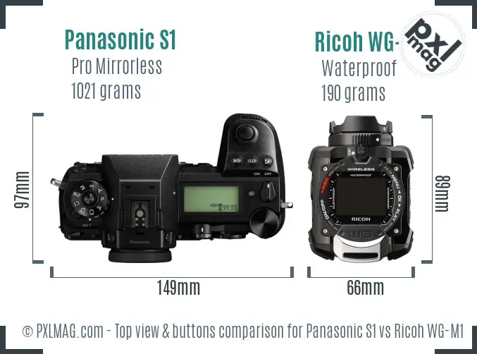 Panasonic S1 vs Ricoh WG-M1 top view buttons comparison Panasonic S1 vs Ricoh WG-M1 top view buttons comparison