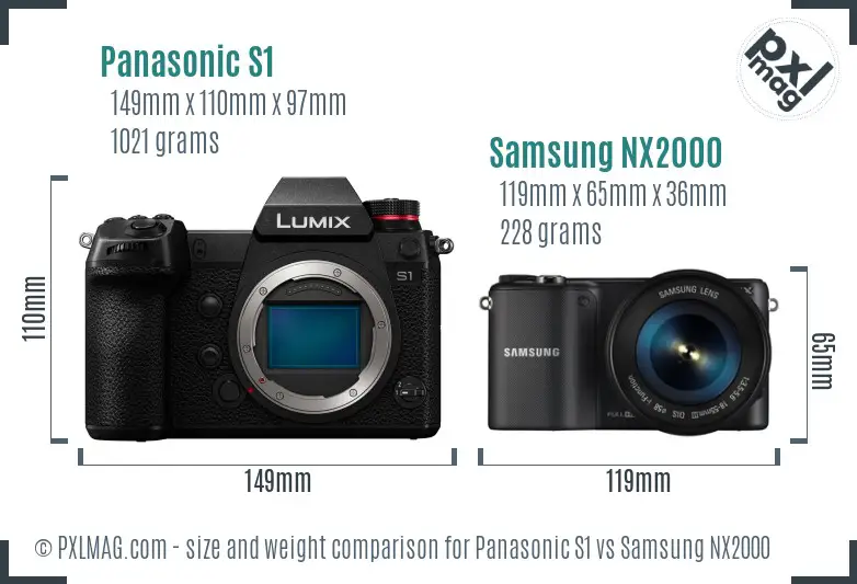 Panasonic S1 vs Samsung NX2000 size comparison