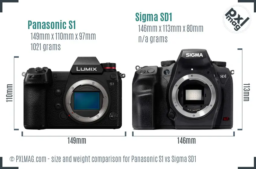 Panasonic S1 vs Sigma SD1 size comparison