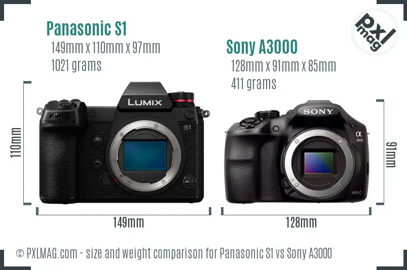 Panasonic S1 vs Sony A3000 size comparison