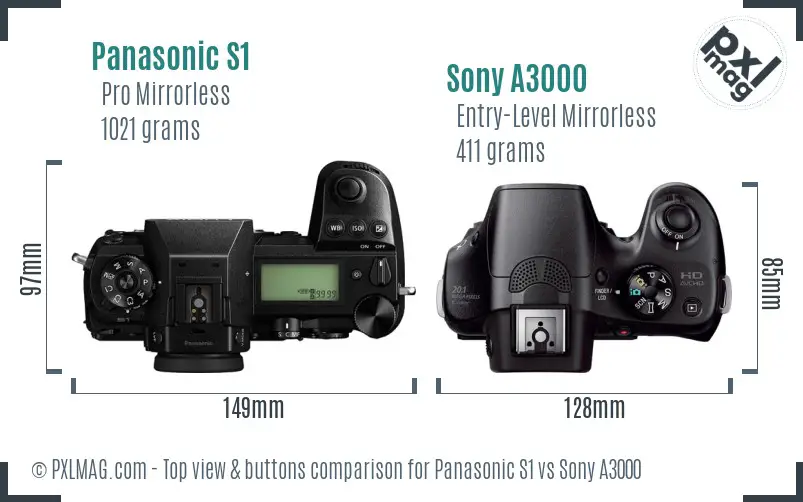 Panasonic S1 vs Sony A3000 top view buttons comparison