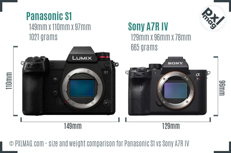 Panasonic S1 vs Sony A7R IV size comparison