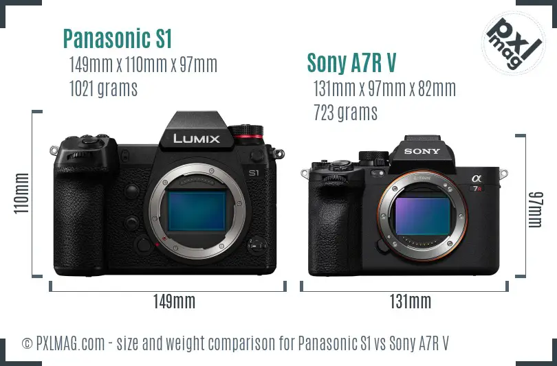 Panasonic S1 vs Sony A7R V size comparison