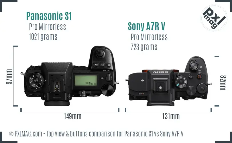 Panasonic S1 vs Sony A7R V top view buttons comparison