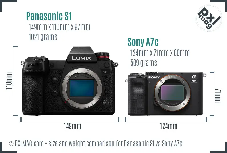 Panasonic S1 vs Sony A7c size comparison