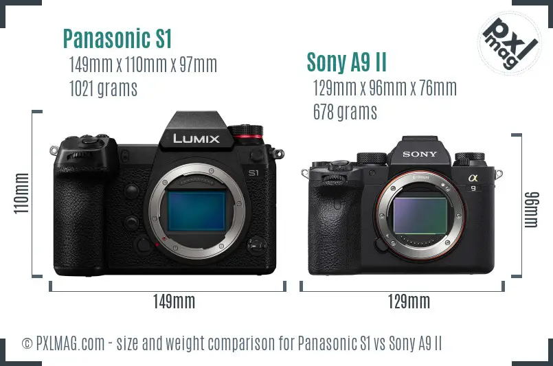 Panasonic S1 vs Sony A9 II size comparison