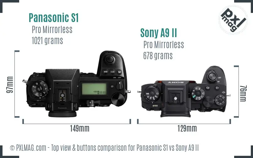 Panasonic S1 vs Sony A9 II top view buttons comparison