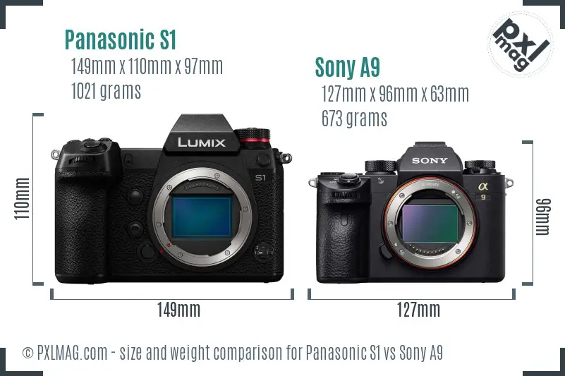 Panasonic S1 vs Sony A9 size comparison