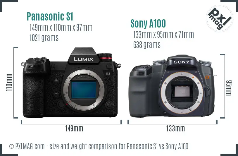 Panasonic S1 vs Sony A100 size comparison