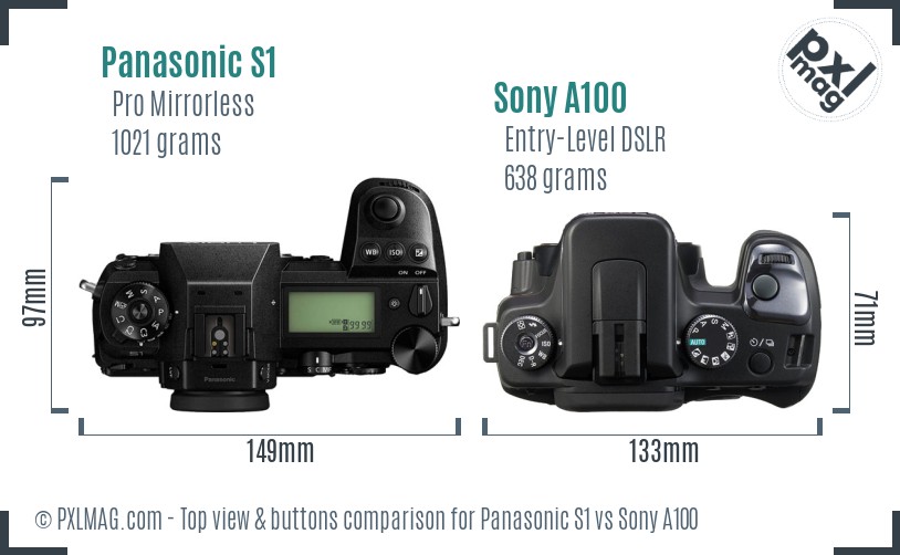 Panasonic S1 vs Sony A100 top view buttons comparison