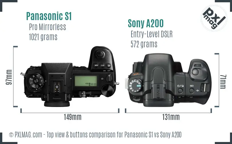 Panasonic S1 vs Sony A200 top view buttons comparison