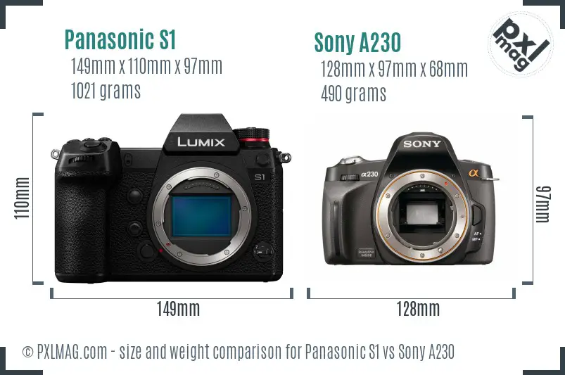 Panasonic S1 vs Sony A230 size comparison