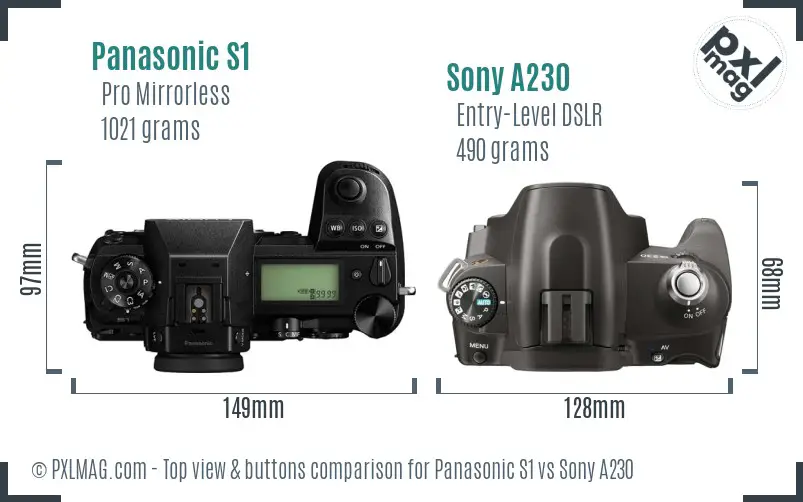 Panasonic S1 vs Sony A230 top view buttons comparison
