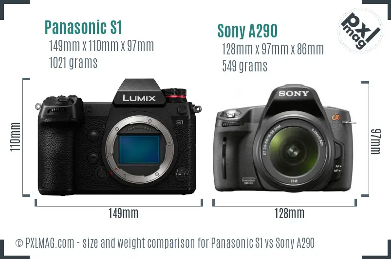 Panasonic S1 vs Sony A290 size comparison