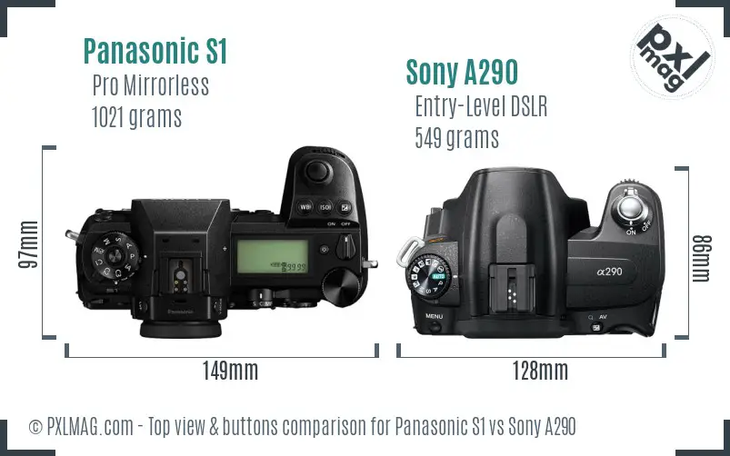 Panasonic S1 vs Sony A290 top view buttons comparison