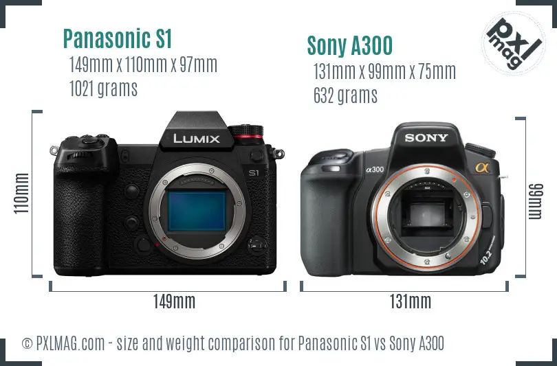 Panasonic S1 vs Sony A300 size comparison