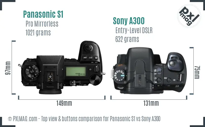 Panasonic S1 vs Sony A300 top view buttons comparison