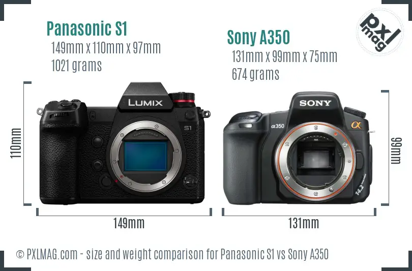 Panasonic S1 vs Sony A350 size comparison