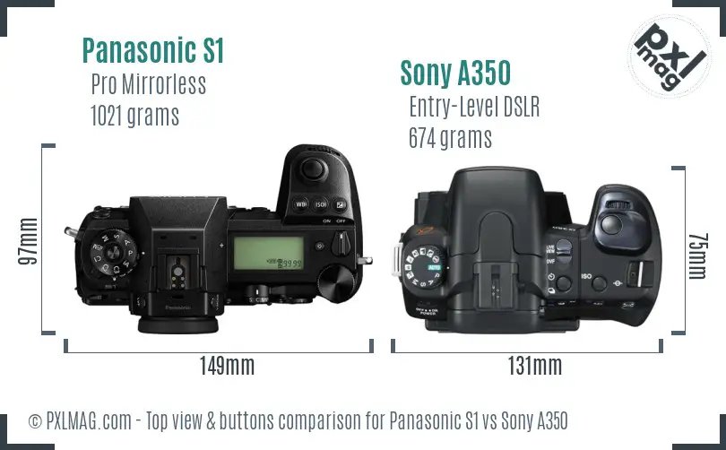 Panasonic S1 vs Sony A350 top view buttons comparison