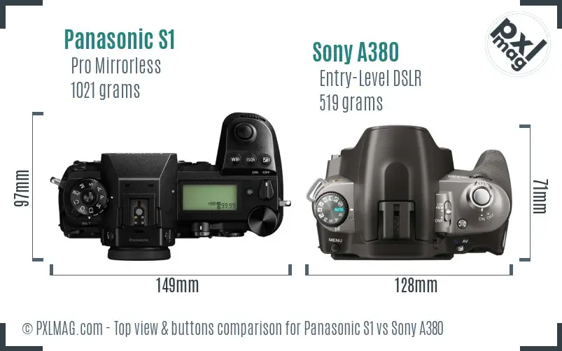 Panasonic S1 vs Sony A380 top view buttons comparison