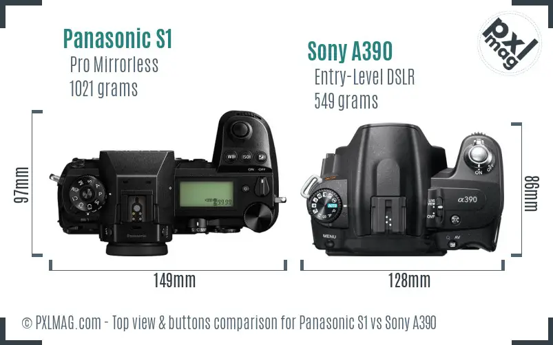 Panasonic S1 vs Sony A390 top view buttons comparison