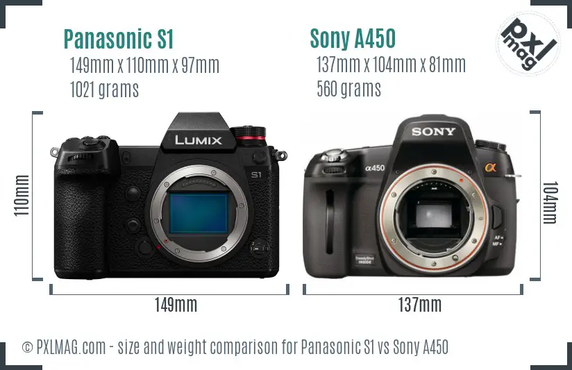 Panasonic S1 vs Sony A450 size comparison