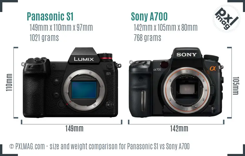 Panasonic S1 vs Sony A700 size comparison