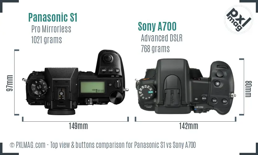 Panasonic S1 vs Sony A700 top view buttons comparison
