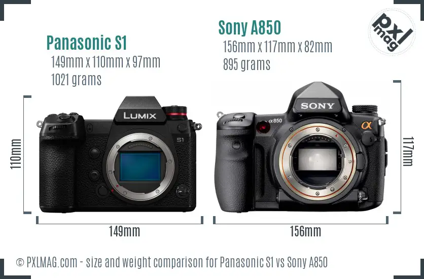 Panasonic S1 vs Sony A850 size comparison