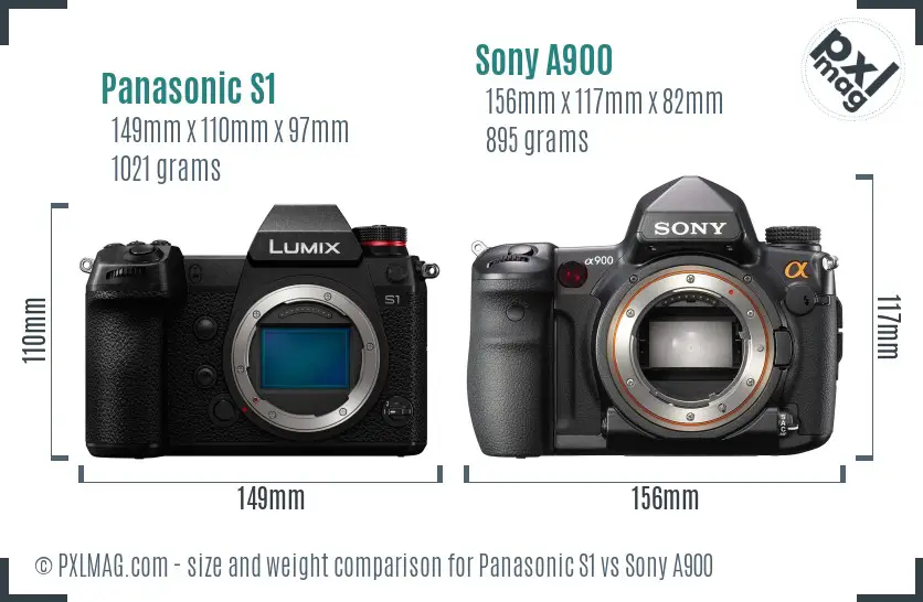 Panasonic S1 vs Sony A900 size comparison