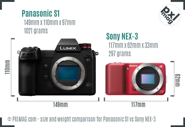 Panasonic S1 vs Sony NEX-3 size comparison