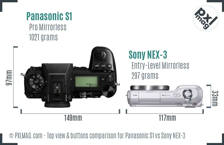 Panasonic S1 vs Sony NEX-3 top view buttons comparison
