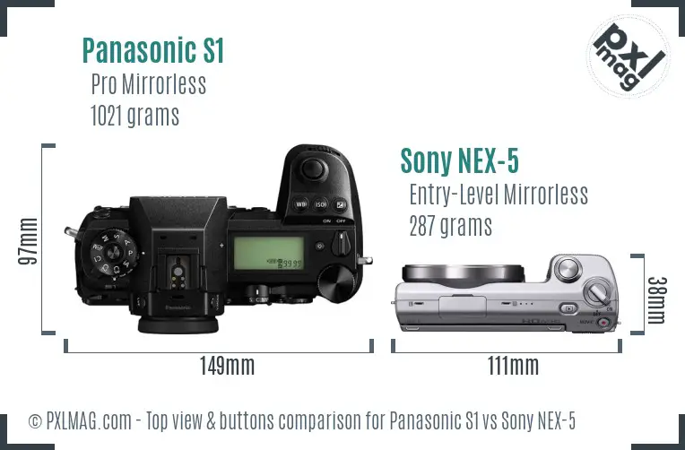Panasonic S1 vs Sony NEX-5 top view buttons comparison