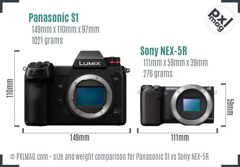 Panasonic S1 vs Sony NEX-5R size comparison