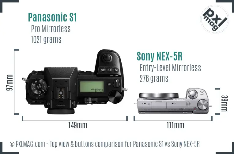 Panasonic S1 vs Sony NEX-5R top view buttons comparison